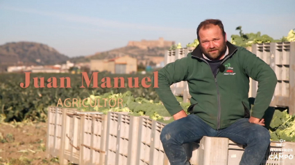 Juan Manuel, agricultor de brócoli