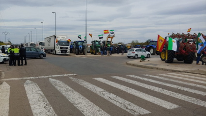 Camiones y tractores parados en el Centro de Trasnportes de Don Benito 