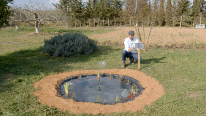 Un estanque en tu huerto o jardín ideal para la biodiversidad, al completo