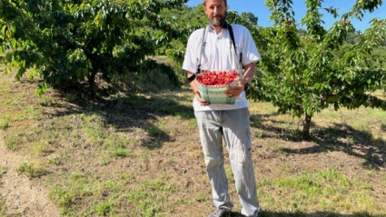 Un cultivador de cereza en su primer día de campaña.