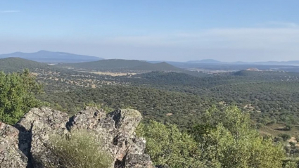 Sierra de la mosca, donde se instalaría la mina de litio