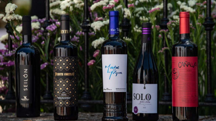 Vinos ganadores premios espiga