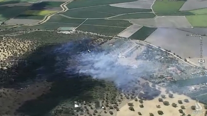 Incendio forestal Villar de Rena