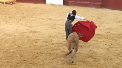 Novilleros Oportunidad Taurina Zorita Canal Extremadura Tierra de Toros