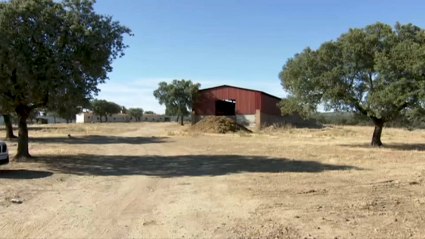 Finca Torrejón el Rubio. Accidente de tractor