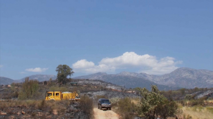 Incendio Villanueva de la Vera sábado julio 2022