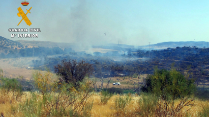 Imagen del incendio en Fuente del Maestre