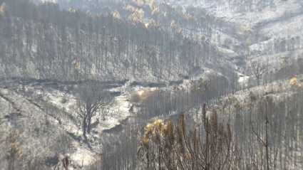 Controlado el incendio y desactivado el nivel 1 de peligrosidad