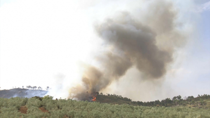 Incendio en Sierra de Gata