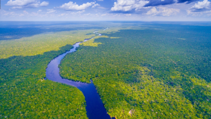 Amazonas