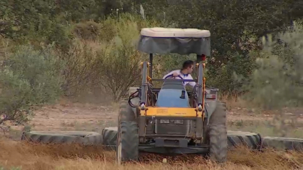 Joven agricultor con tractor en el campo.