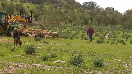 Efectos de la lluvia en el campo