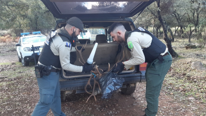 Agentes del medio natural