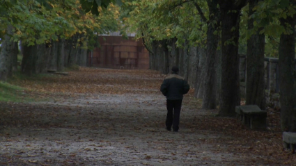 Hombre caminando un día de otoño