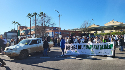 Manifestación en Mérida