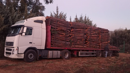 Accidente en la Aceña de la Borrega