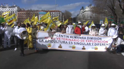 Apicultores se manifiestan en Madrid