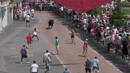 Sanjuanes Coria San Juan Pablo Mayoral Toro encierro calles Tierra de Toros Canal Extremadura