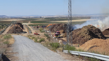 Incendio en los exteriores de la planta de biomasa en Mérida