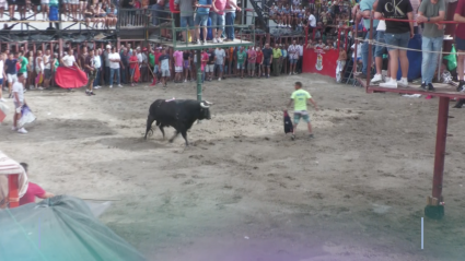 Aldeanueva de la Vera Fiesta de Cristo de la Salud Festejo Popular Toro Verato Tierra de Toros Canal Extremadura