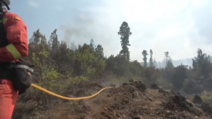 Bomberos de la Brif de Pinofranqueado regresan de Tenerife