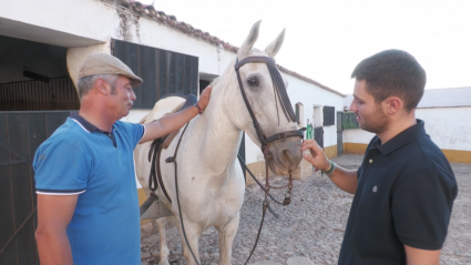 Enrique Mayoral Luis Albarrán Campo Toros Pintura Tierra de Toros Canal Extremadura