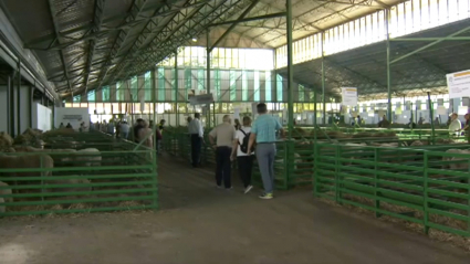 Feria de Zafra