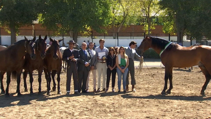 Feria de Zafra