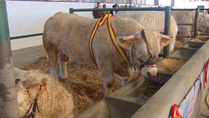 Feria Agroganadera de Trujillo