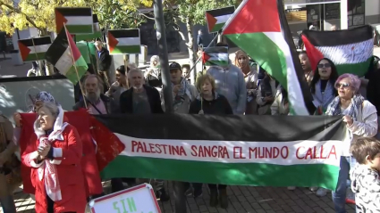 Protesta pro Palestina