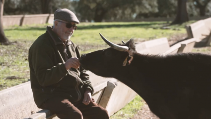 Antonio Roman ganadería, vaca brava, Campo Bravo, dehesa brava, Juan Bazaga, Tierra de Toros, Canal Extremadura