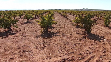 Limitaciones en el uso de agua en Tierra de Barros