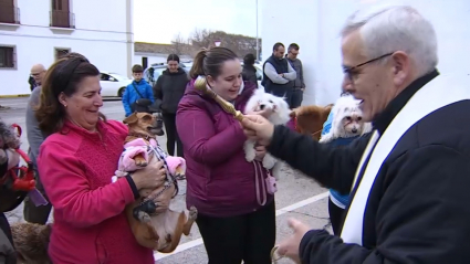 Bendición de los animales