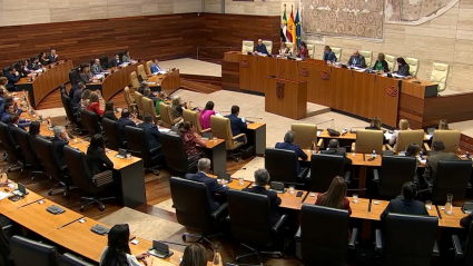 Pleno en la Asamblea