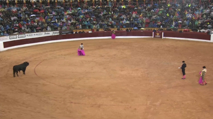 Feria del toro en Olivenza