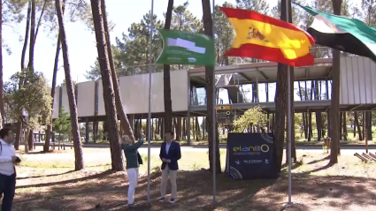 Bandera verde en El Anillo