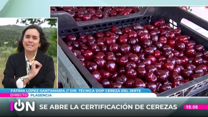 PRIMERAS CEREZAS CERTIFICADAS DEL JERTE 2024