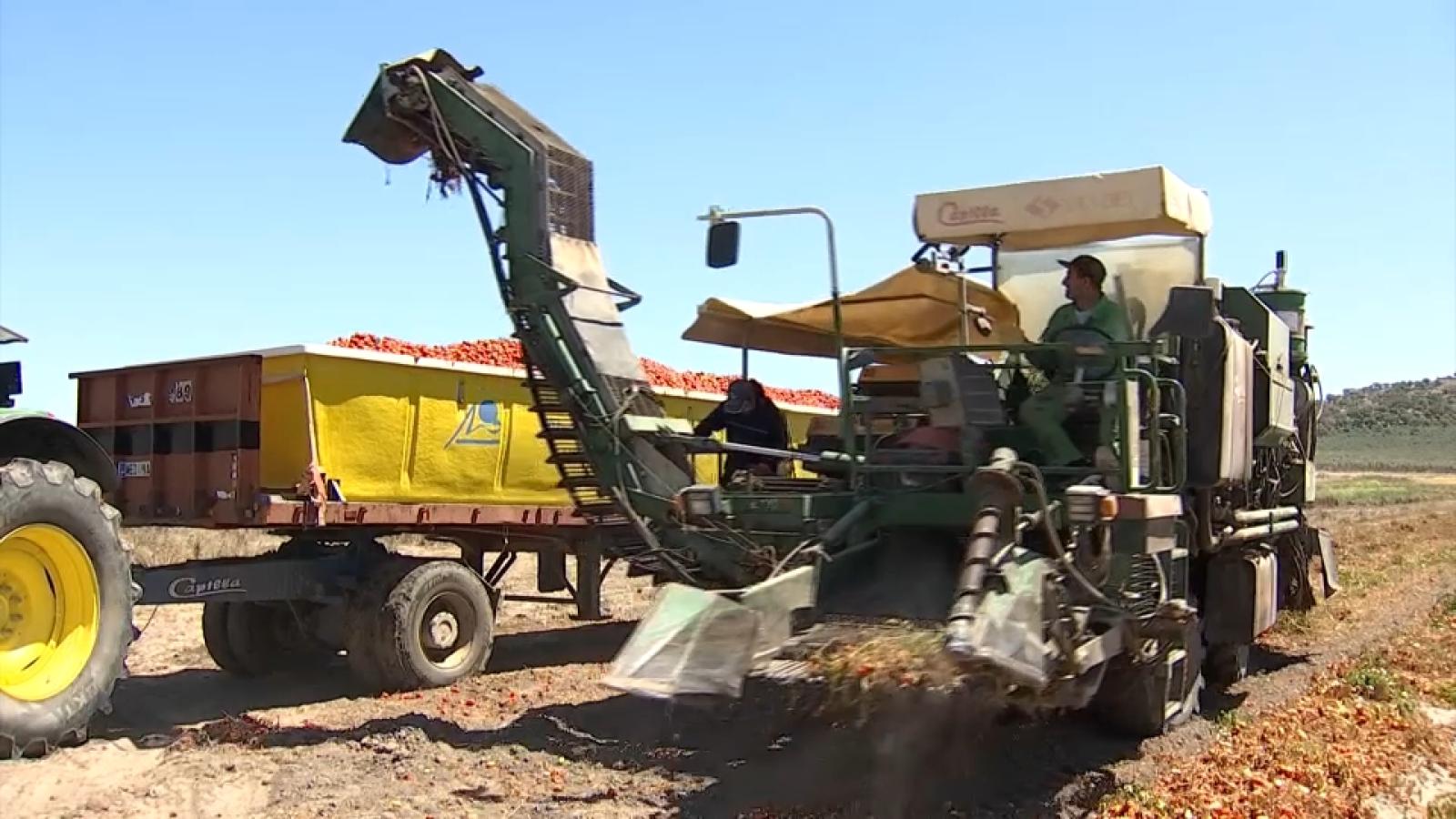 Ocho de cada diez productores reclaman a Bruselas autorizaciones más ágiles y menos restrictivas