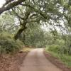 Bosques sinérgicos en La Vera