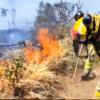 Incendio forestal en Pozuelo de Zarzón