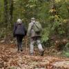 El Otoño Mágico, de Interés Turístico Internacional