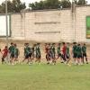 Plantilla del Cacereño entrenando en el Príncipe Felipe