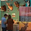 Stand de la Feria de la Caza, la Pesca y la Naturaleza Ibérica, con público y cabezas de animales. 