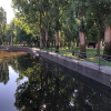 Canal de La Isla, Plasencia.