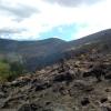 Imagen de las hectáreas devoradas por el fuego 