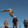 Águila Imperial Ibérica recuperada y liberada en Valencia de las Torres