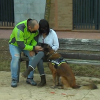 El proyecto Pepo llega a Almendralejo