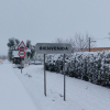 Nieve en Bienvenida