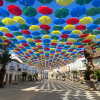 Los paraguas cubren las calles de Malpartida