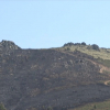 Zona del incendio de Cañaveral